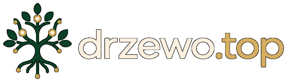 drzewo.top